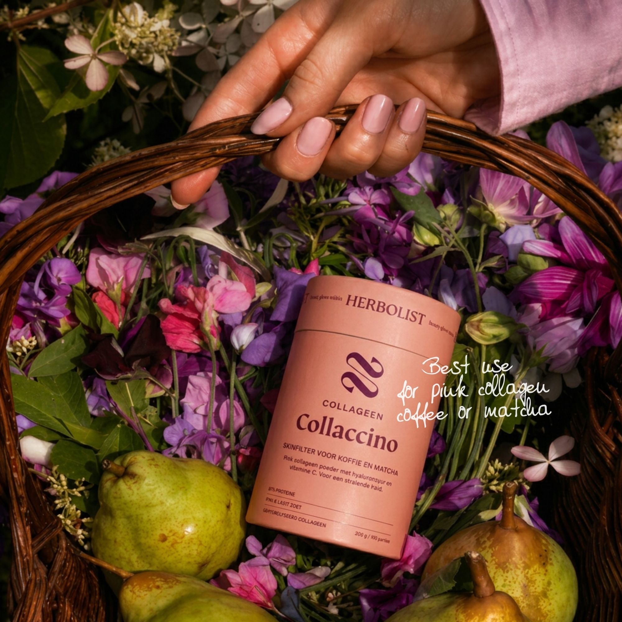 Herbolist Collaccino (Pink Matcha)